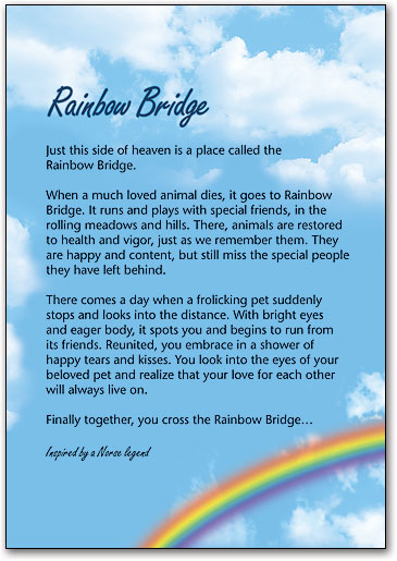 rainbow bridge poem